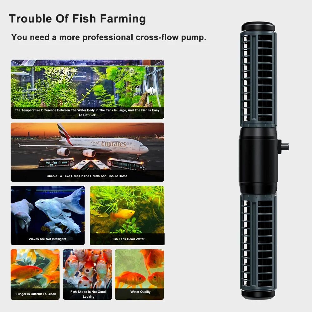 description_selected1