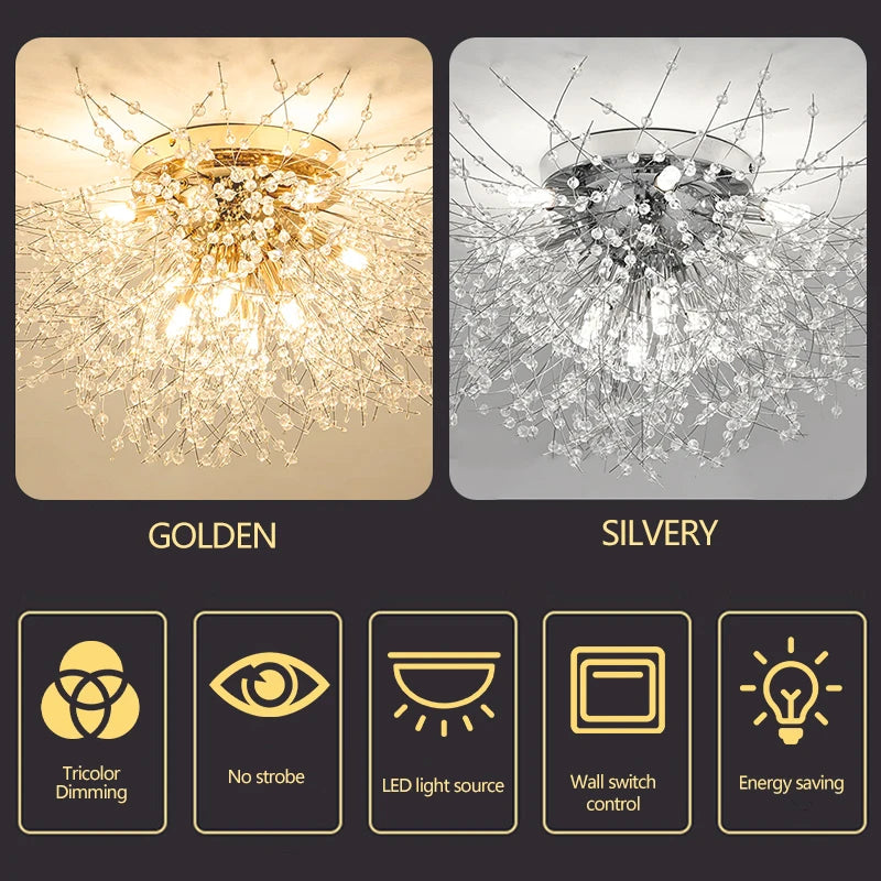 description_selected4