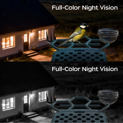 description_selected4