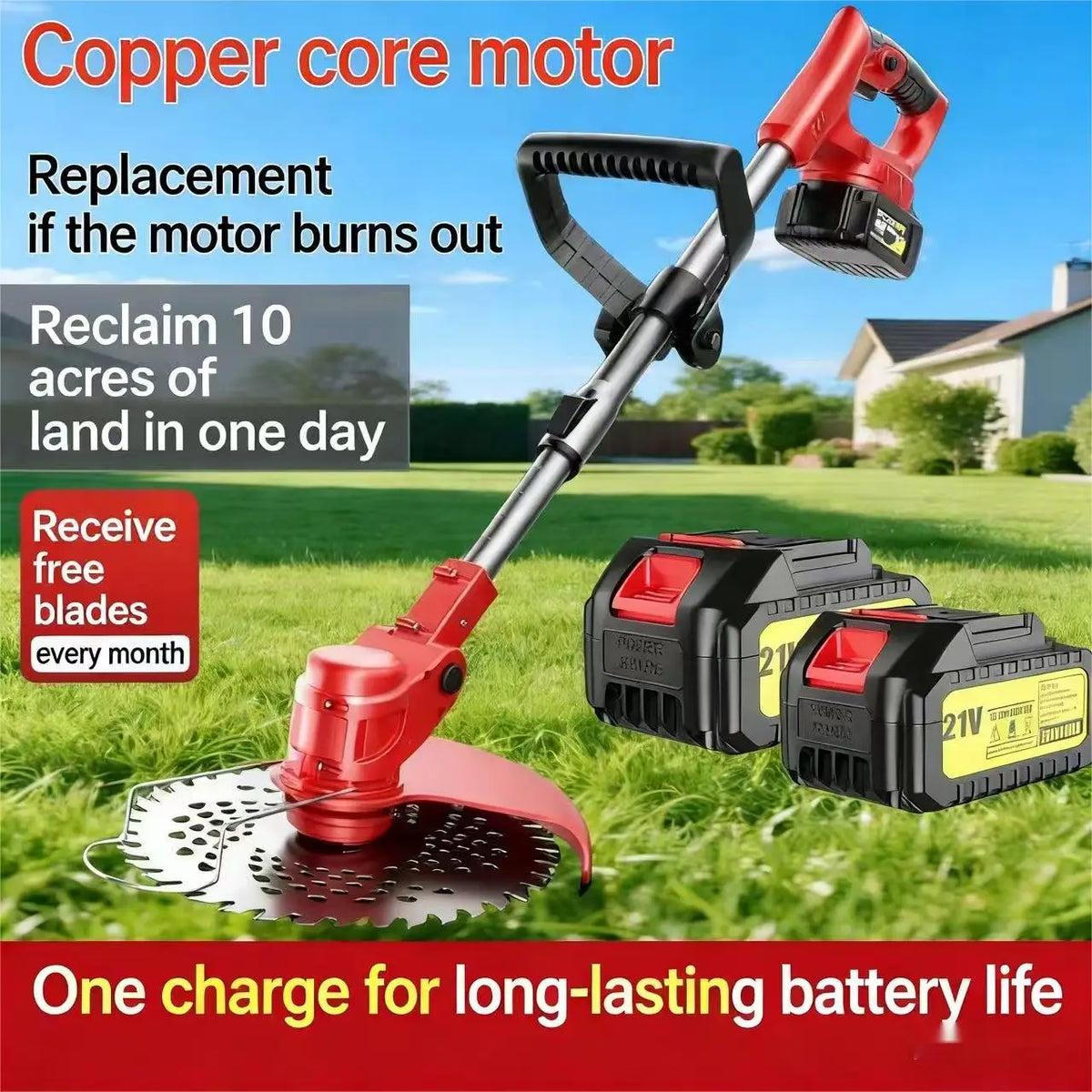 description_selected1