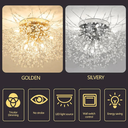description_selected4