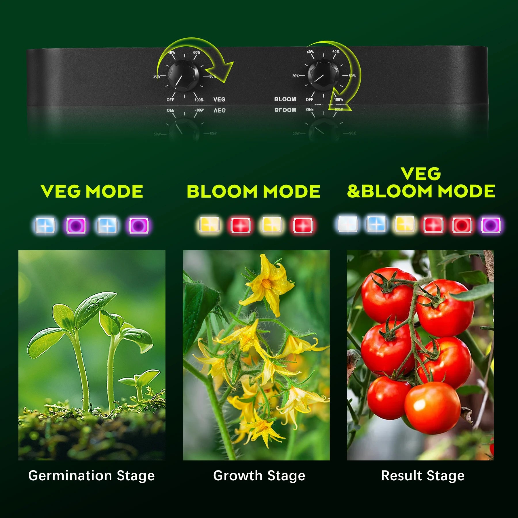 description_selected2