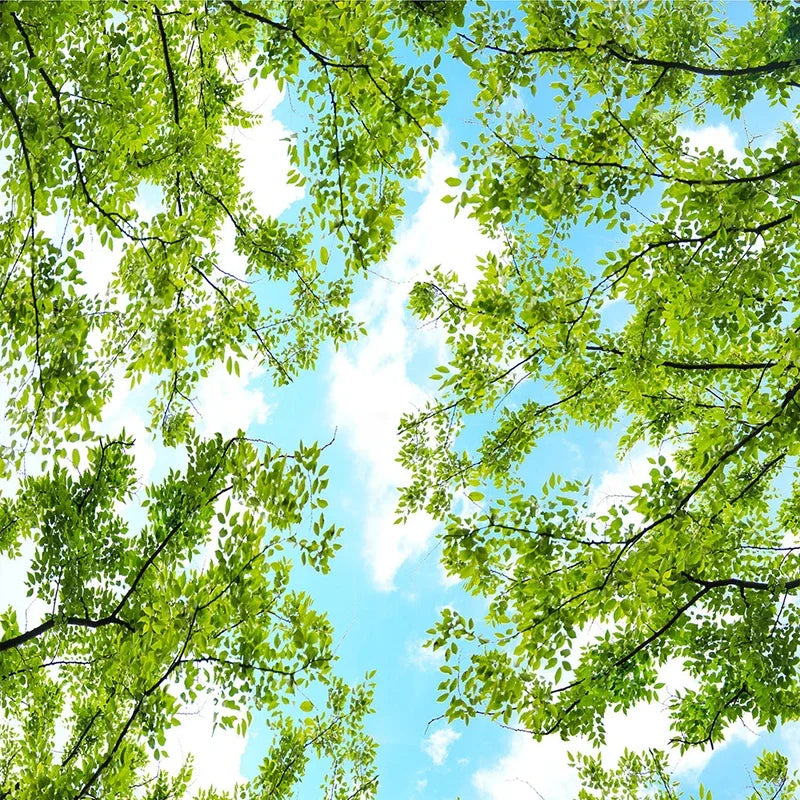 description_selected4
